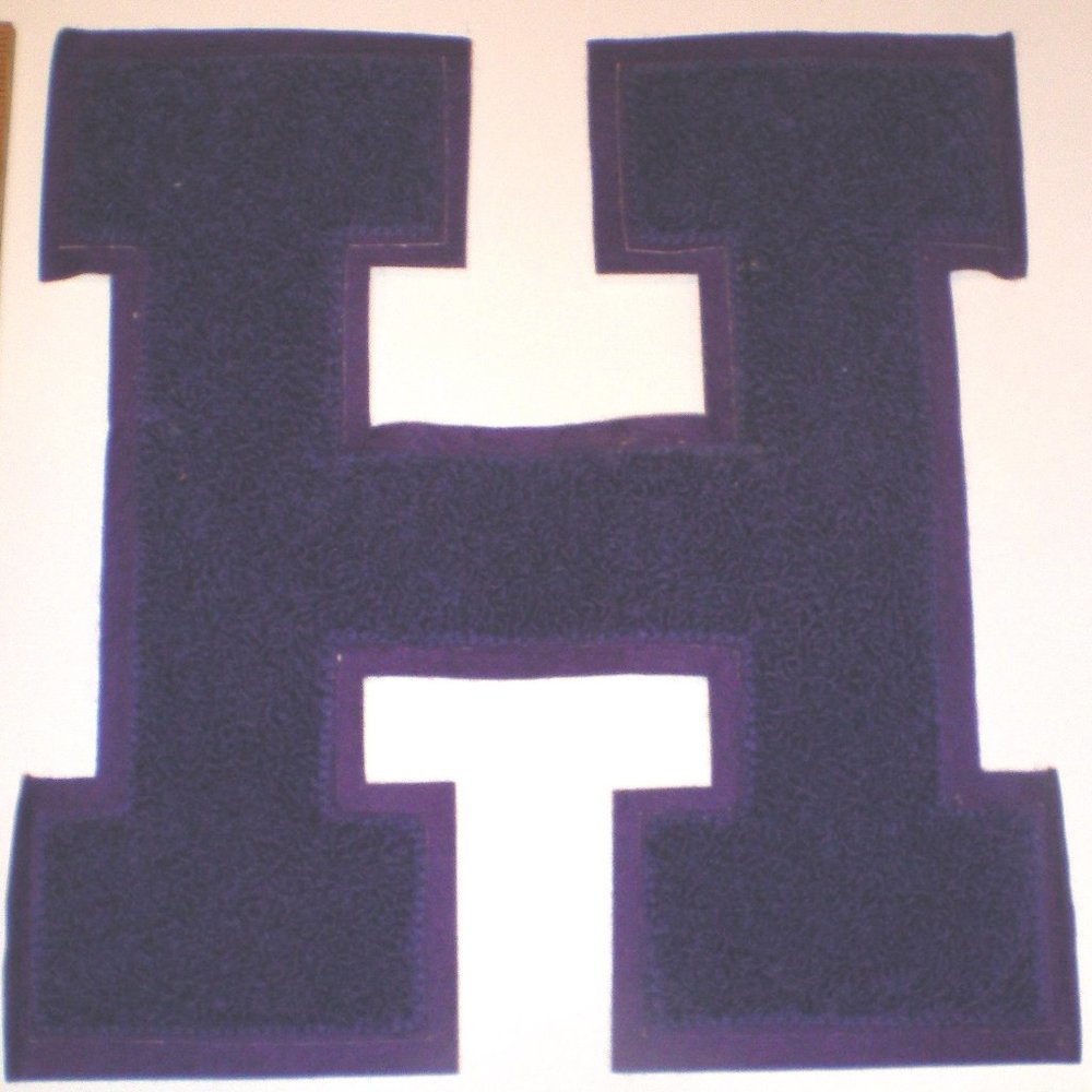 *VTG Purple Chenille LG Varsity Letter Jacket H BRAND NEW